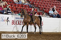 11buck_6283 proof