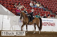 11buck_6287 proof