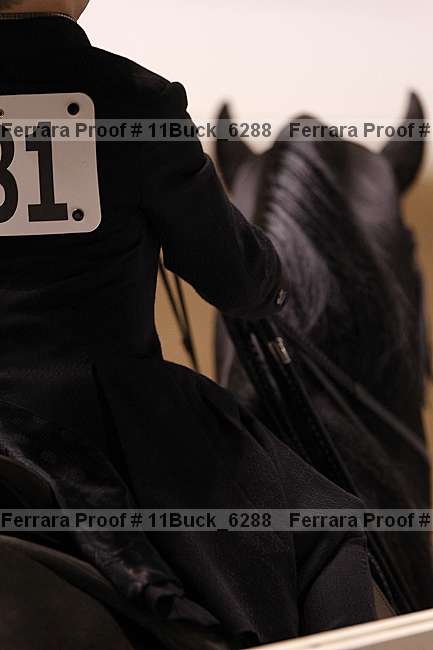 Proof 11buck_6288