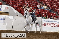 11buck_6293 proof