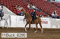 11buck_6295 proof