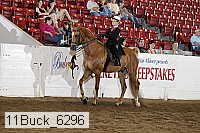 11buck_6296 proof