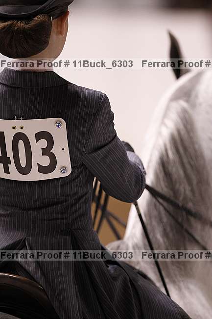 Proof 11buck_6303