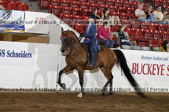 Proof 11buck_6306