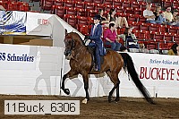 11buck_6306 proof