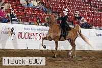 11buck_6307 proof
