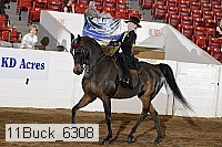 11buck_6308 proof