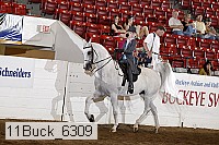 11buck_6309 proof
