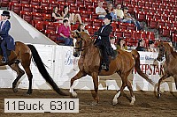 11buck_6310 proof
