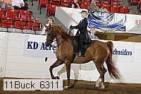 11buck_6311 proof
