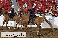 11buck_6312 proof