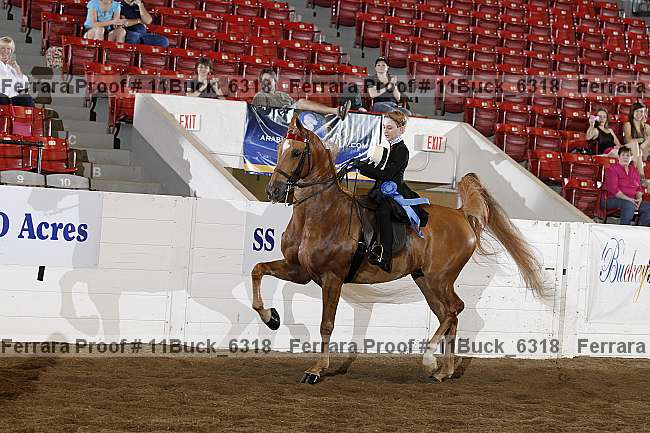 Proof 11buck_6318