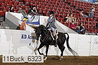 11buck_6323 proof