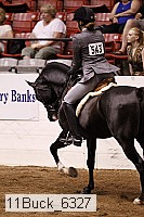 11buck_6327 proof