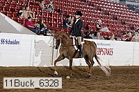11buck_6328 proof
