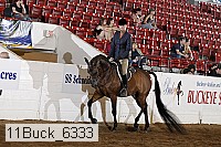 11buck_6333 proof