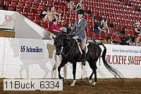 11buck_6334 proof