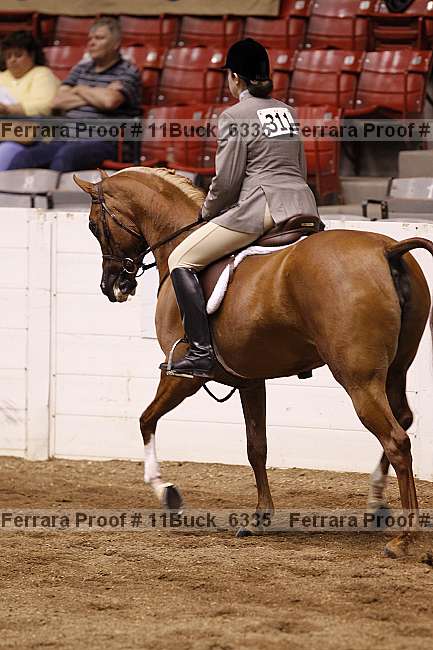 Proof 11buck_6335