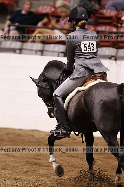 Proof 11buck_6346