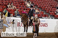 11buck_6348 proof