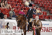 11buck_6349 proof