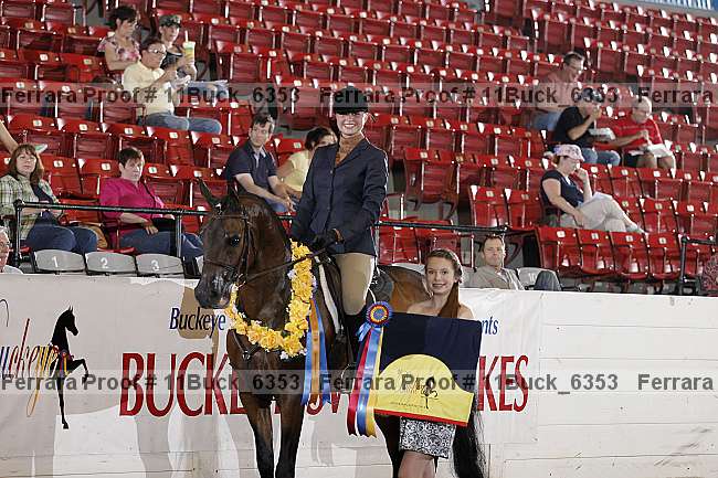 Proof 11buck_6353