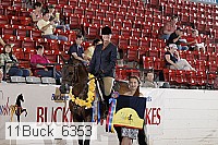 11buck_6353 proof