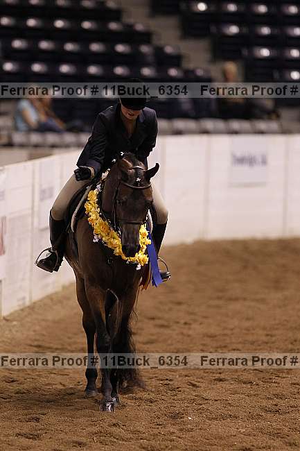 Proof 11buck_6354
