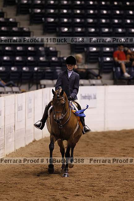 Proof 11buck_6368
