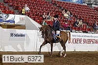 11buck_6372 proof