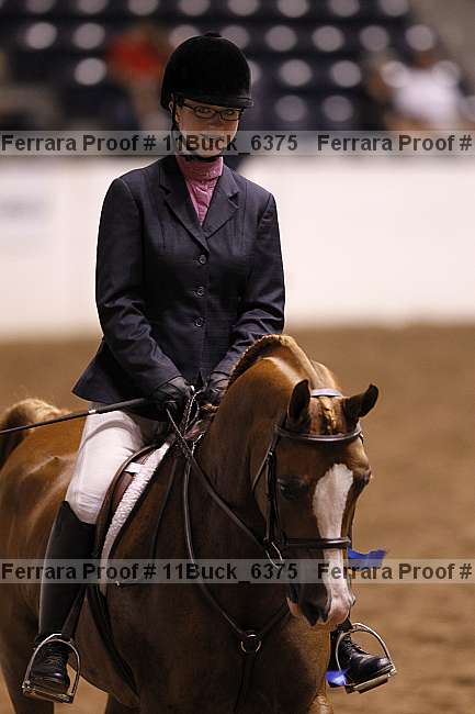 Proof 11buck_6375