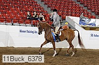 11buck_6378 proof