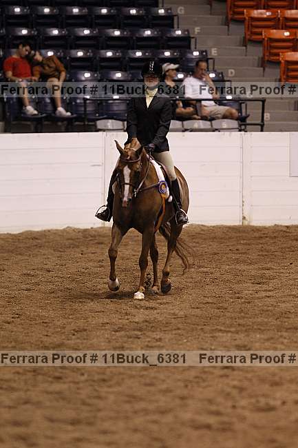 Proof 11buck_6381