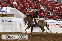 11buck_6382 proof
