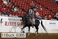 11buck_6385 proof