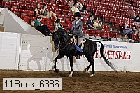 11buck_6386 proof