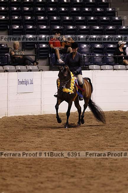 Proof 11buck_6391