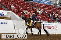 11buck_6393 proof