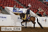 11buck_6394 proof