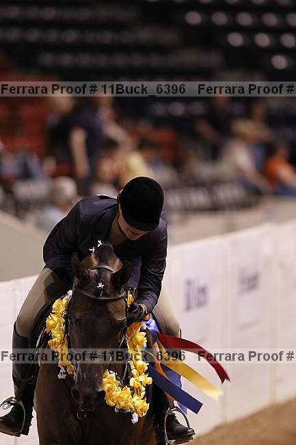 Proof 11buck_6396