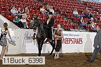 11buck_6398 proof
