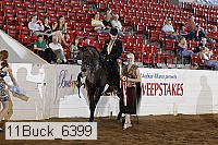 11buck_6399 proof