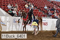 11buck_6401 proof