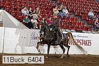 11buck_6404 proof