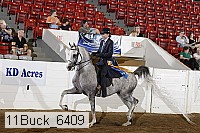 11buck_6409 proof