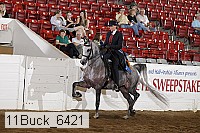 11buck_6421 proof