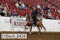 11buck_6424 proof