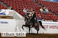 11buck_6431 proof