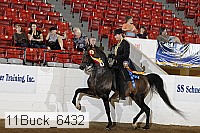 11buck_6432 proof