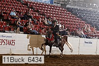 11buck_6434 proof